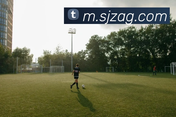 ag百家乐APP 封面图